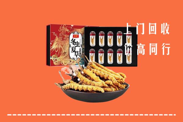 泰安回收虫草